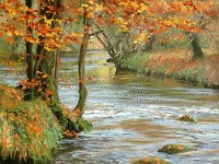 Landscapes - Sold (66)
